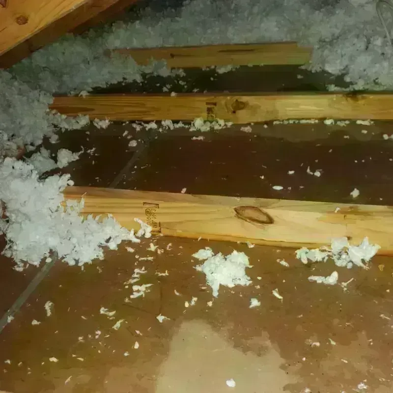 Attic Water Damage in Winkler County, TX